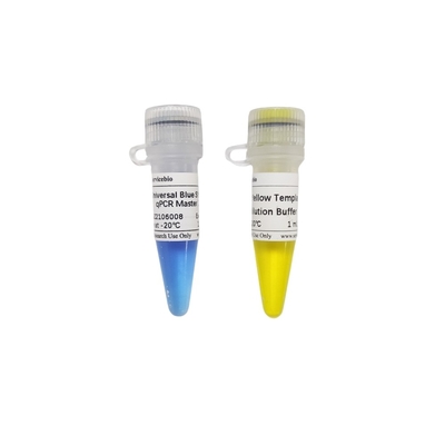 2× смешивание зеленого цвета QPCR универсалии голубое GSK мастерское с желтым буфером разбавления шаблона 40×