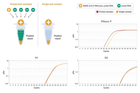 Реагент всеобщего смешивания мастера системы мултиплекса QPCR TaqMan биохимический